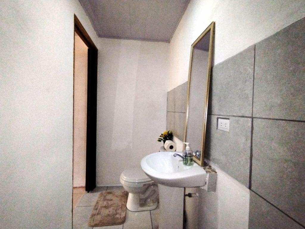 希门尼斯港Anluka Estudio的一间带水槽、卫生间和镜子的浴室