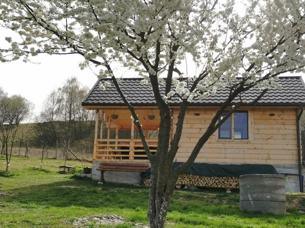 Stefana's Tiny House Nature Retreat的前方有树的小木屋
