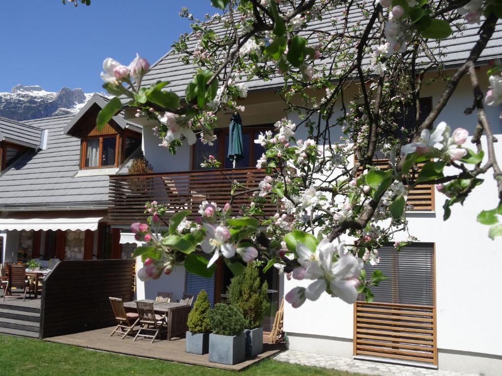 博维茨Apartments Supermjau的院子里有花树的房子