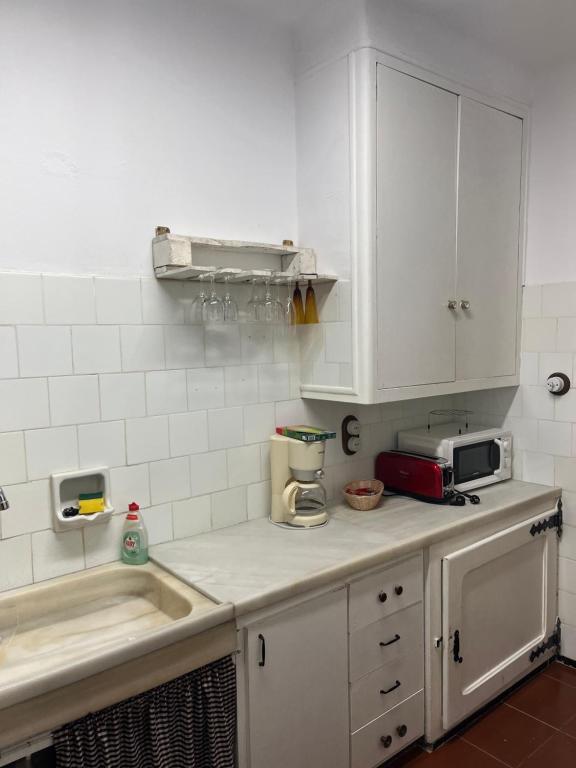 莫尼斯特罗尔Casa iaia的厨房柜台设有水槽和微波炉