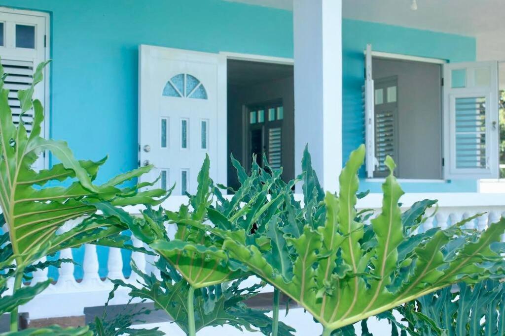 阿雷西博Casa Lula Beach Retreat - Dog friendly, Fenced backyard的前面有植物的蓝色房子