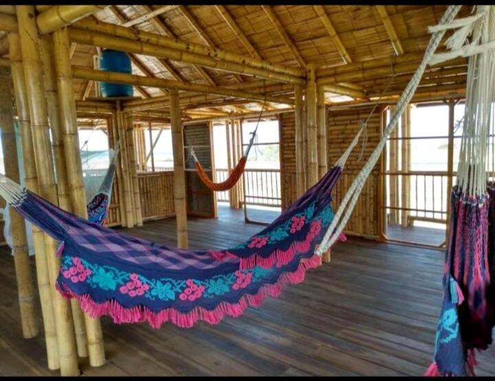 MayapoCasa Coral的铺有木地板的建筑内的吊床