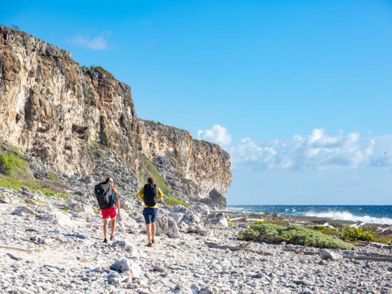 Tulixx Cayman Villa的两人在海边的岩石海滩上散步