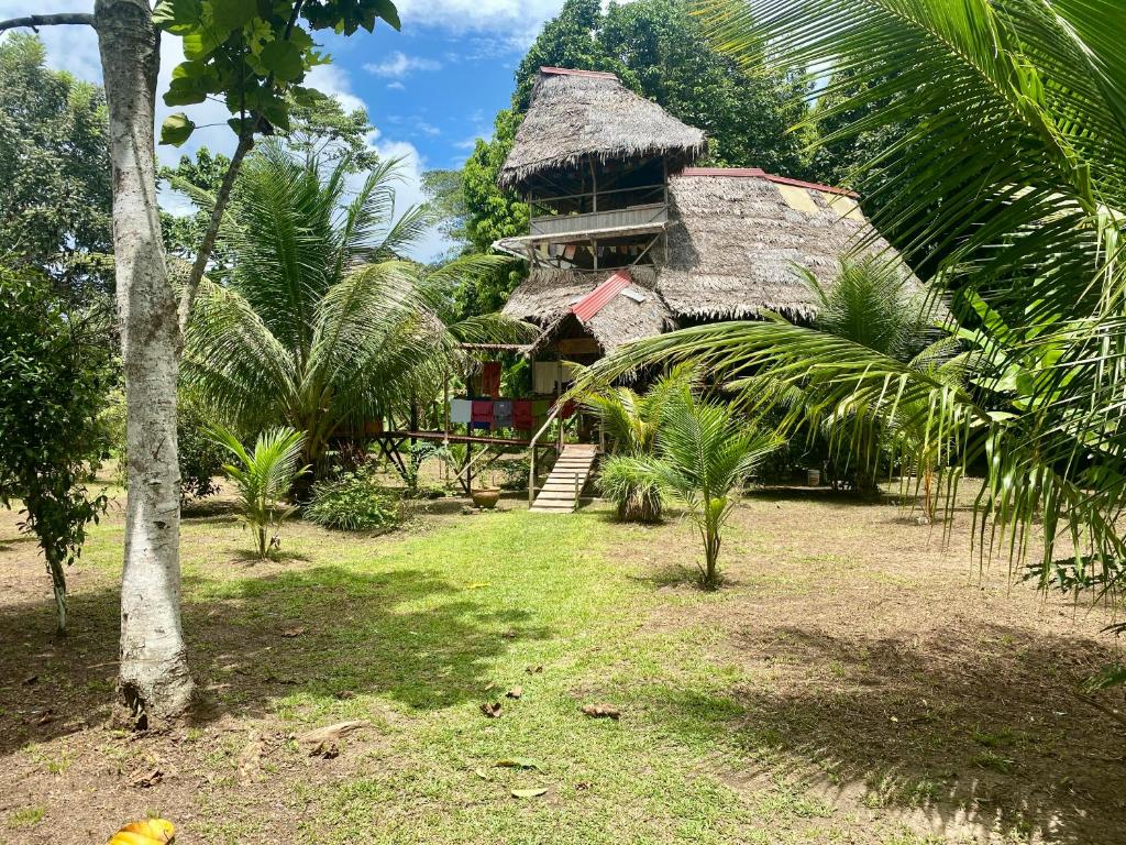 普卡尔帕Jungle Lodge with lookout tower的热带房屋,拥有稻草屋顶和棕榈树