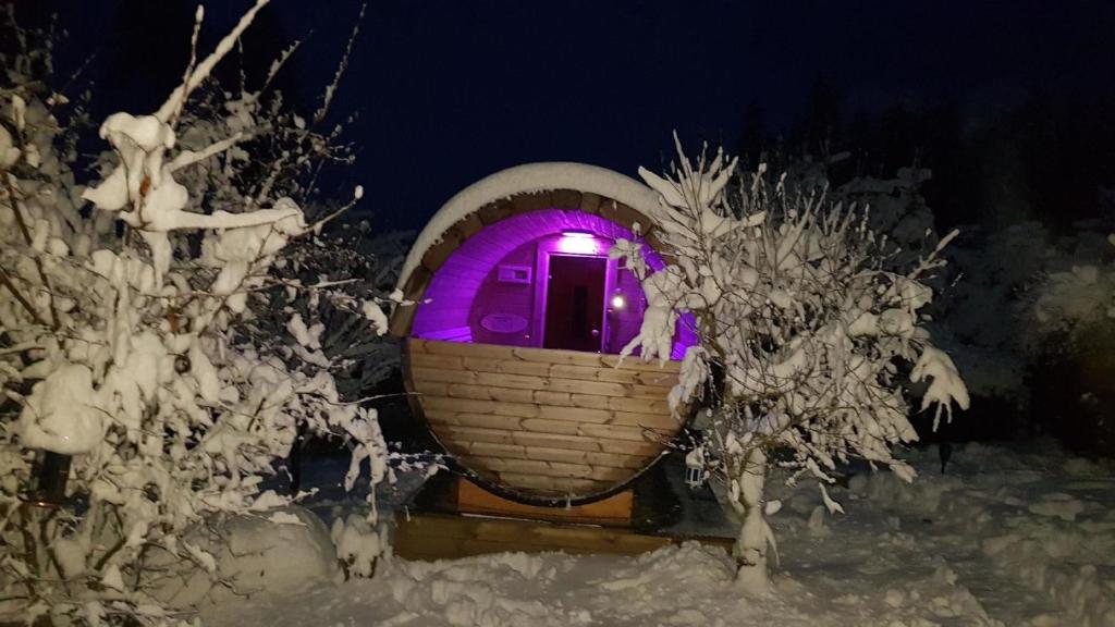 沃尔夫斯堡Ferienhaus für 2 Personen ca 70 qm in Wolfsberg, Kärnten Saualpe的雪中紫色灯的小房子
