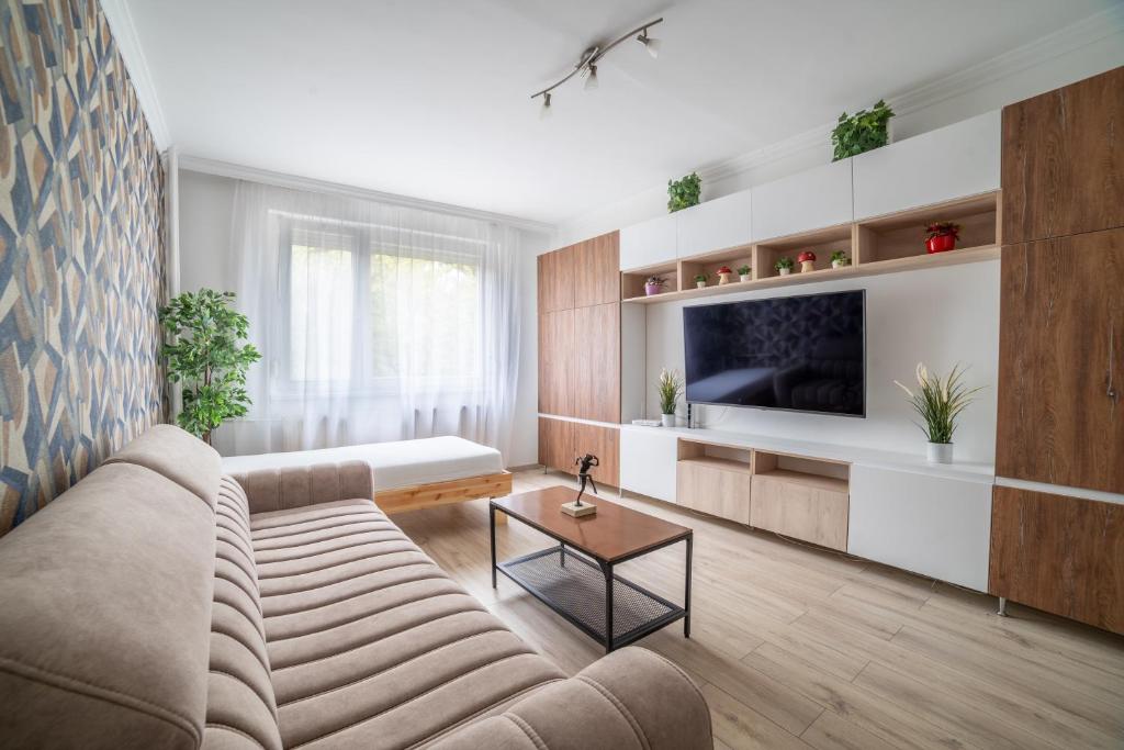 米什科尔茨Comfort 28 B的带沙发和电视的客厅