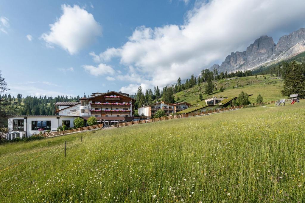 新黎凡特Moseralm Dolomiti Spa Resort的山间草原上的房子