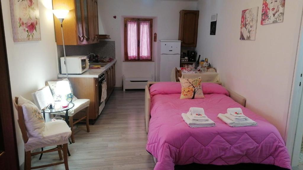 Castel ViscardoLa Casetta di Mimmi的一间卧室配有一张带粉色毯子的床