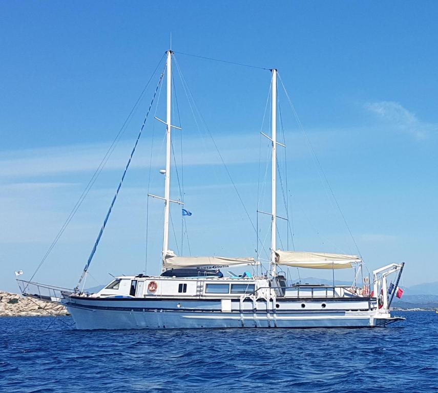 普罗普里亚诺Santa-Giulia的坐在水中的白色小船