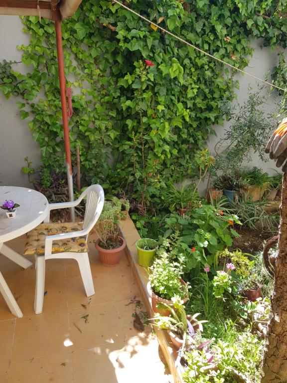 塔扎studio toufik的庭院配有桌子和椅子,还有一些植物