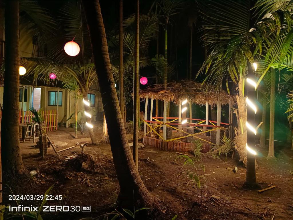 阿里巴格Coco Dreams的夜间在树林里带灯的小屋