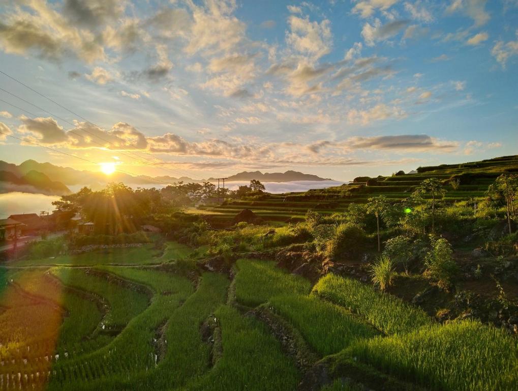 Hương Bá ThướcPù Luông Happy Home的日落在绿地上,太阳在后面