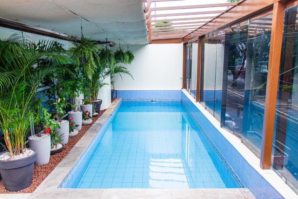 马瑙斯Plaza Prestige Hotel Manaus的一座种植了盆栽植物的建筑中的游泳池