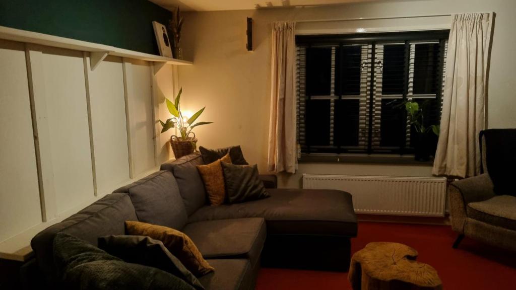 泽尔赫姆Gastenhuisje的带沙发和窗户的客厅