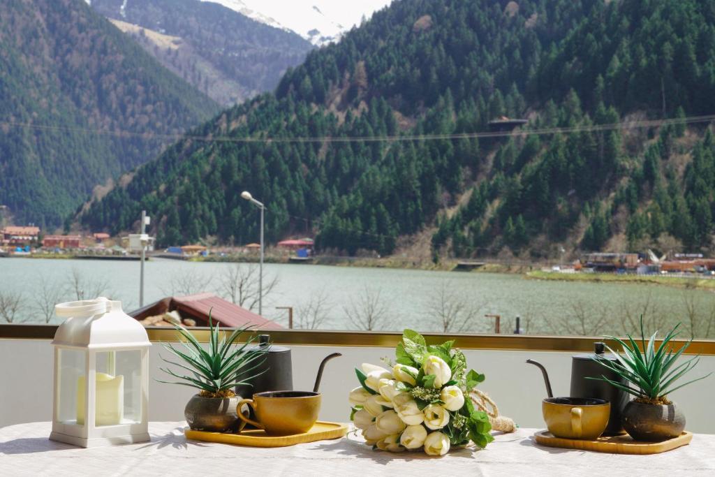 乌宗UZUNGÖL ADİLOGLU SUIT的一张带鲜花和杯子的桌子,享有山景