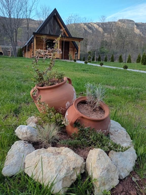尼什Sicevacka Bajka的两座大花盆,坐在房子前面的岩石上