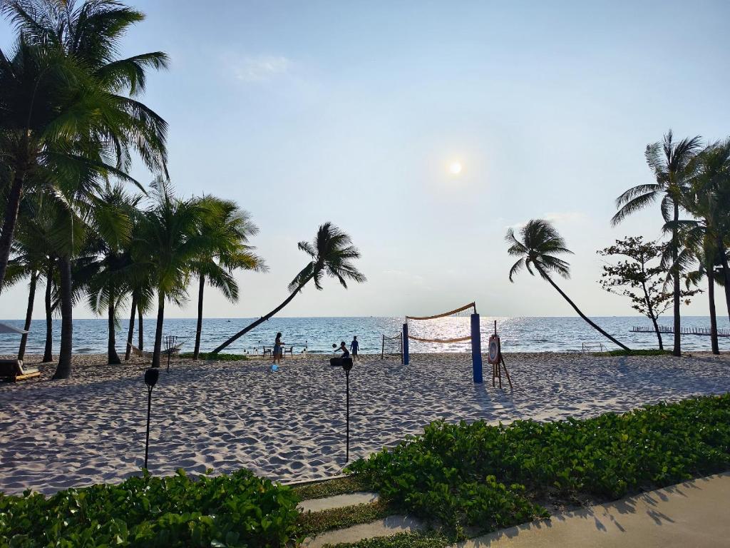 富国Stella Marina Boutique Hotel的棕榈树海滩上的排球网