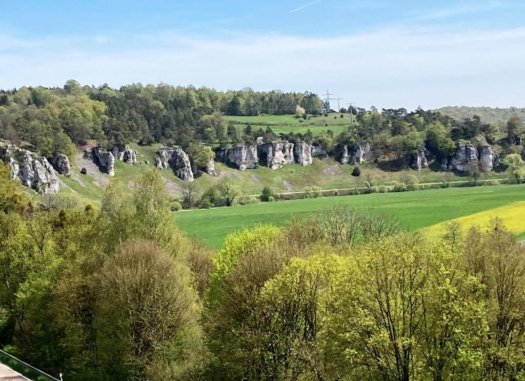 SolnhofenMitten im Altmühltal - 110 qm的享有树木和岩石的田野景色