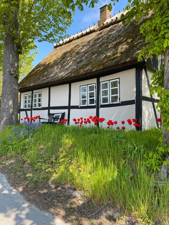 HårlevSofie's Hus - Munkgaard Bed & Breakfast的前面有红花的房子