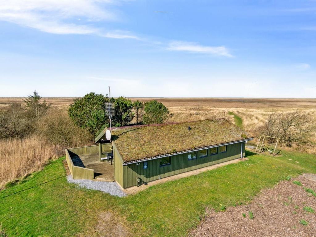 博利尔马克Holiday Home Hunlef - 1-7km from the sea in Western Jutland by Interhome的享有带草屋顶的房子的顶部景色