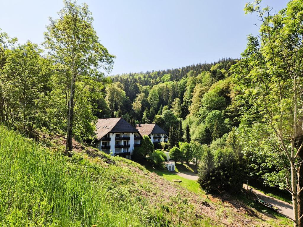 特里贝格Ferienwohnung in Triberg am Waldrand - idyllisch, ruhig, erholsam的森林中的房子