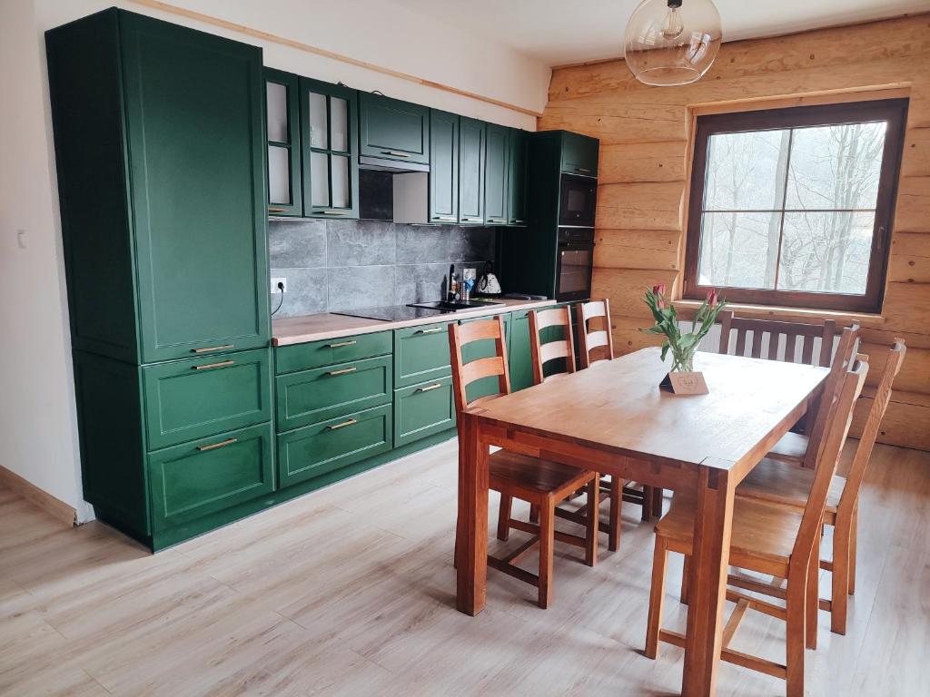 索克莱克Chata Santa Claus - Rudolf GÓRY SOWIE的厨房配有绿色橱柜和木桌