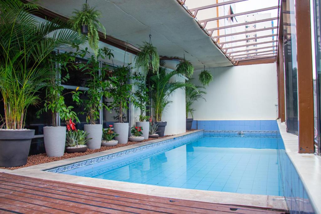 马瑙斯Prestige Manaus Hotel的一座建在建筑中的带盆栽的游泳池