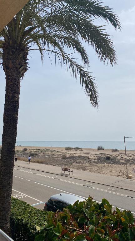 卡斯特尔德费尔斯Beach front room NOT A HOTEL的棕榈树和停在路边的汽车