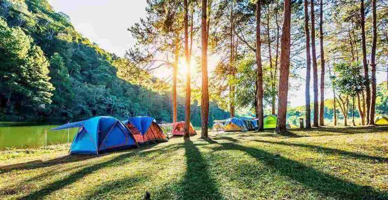 武吉丁宜Tapian Asri Camp的一群帐篷位于湖边的田野