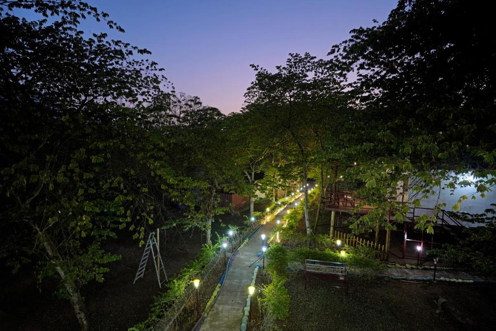 马西尼古蒂Hillside Spring Valley Resort Masinagudi的一条树和灯光的街道