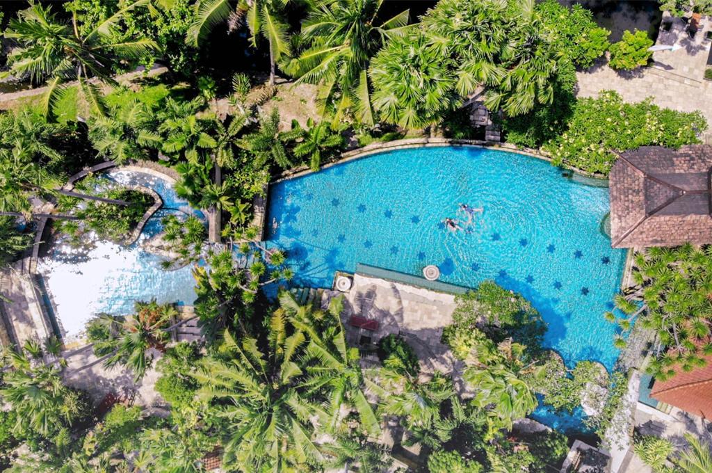 梭罗洛林索罗酒店的享有度假村游泳池的顶部景致
