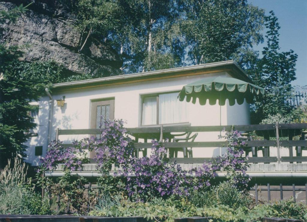 柯尼希施泰因易北Ferieneinrichtungen-Haus-am-Stein的前面有紫色花的房屋