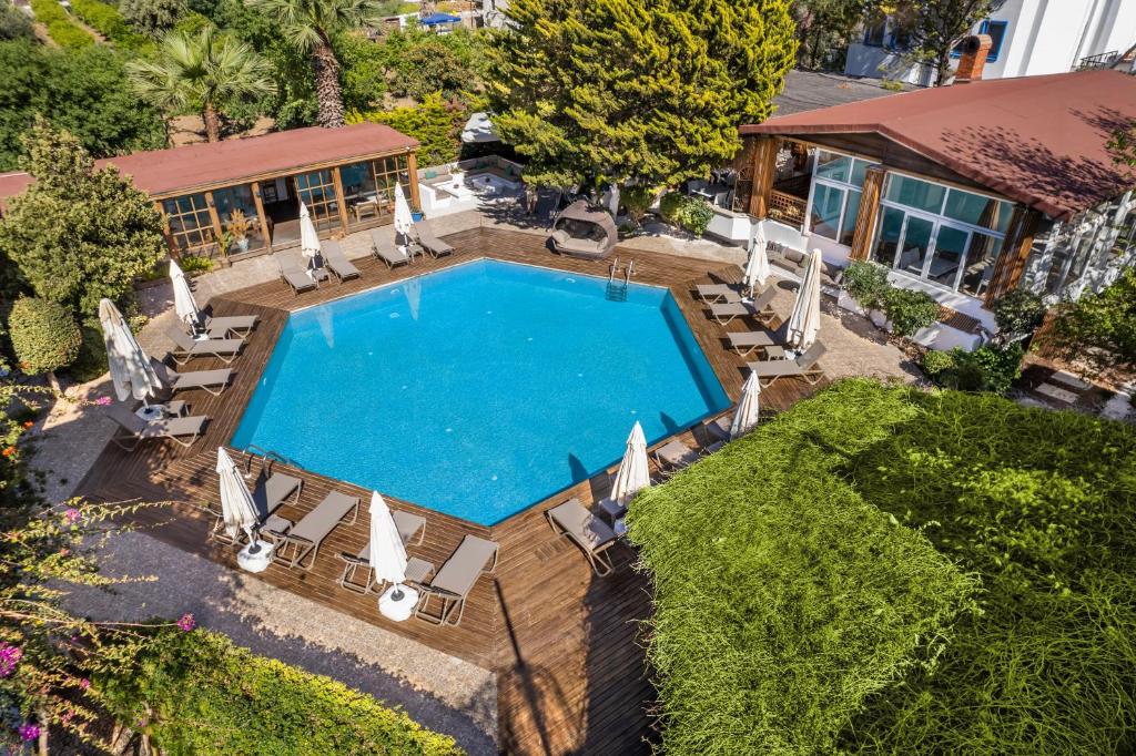 博德鲁姆博德鲁姆哥斯达酒店的享有带椅子的游泳池和房屋的顶部景致