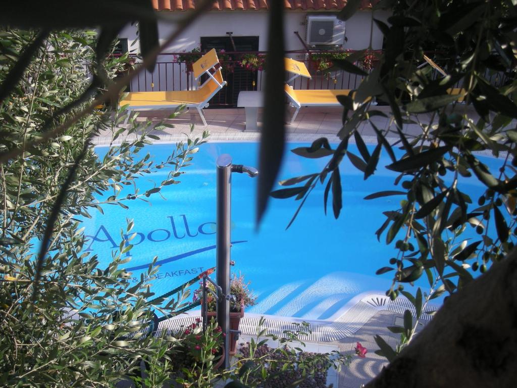 马蒂纳塔Apollo的游泳池旁设有两把黄色椅子
