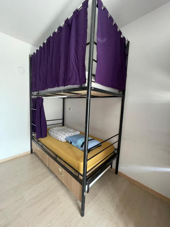 普里什蒂纳NEWBORN comfort HOSTEL的紫色窗帘的客房内的双层床