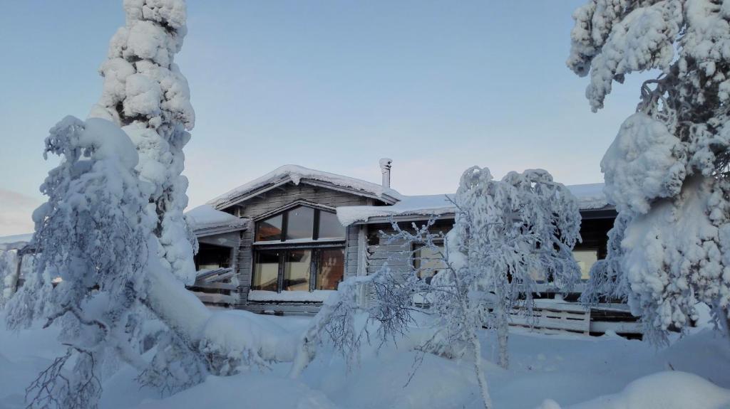 萨利色尔卡熊窝别墅的一座房子,前面有树木,被雪覆盖着