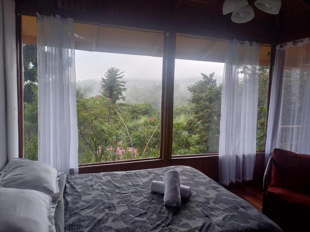 埃雷迪亚Finca Valle Arcoiris的一间卧室设有一张床和一个大窗户