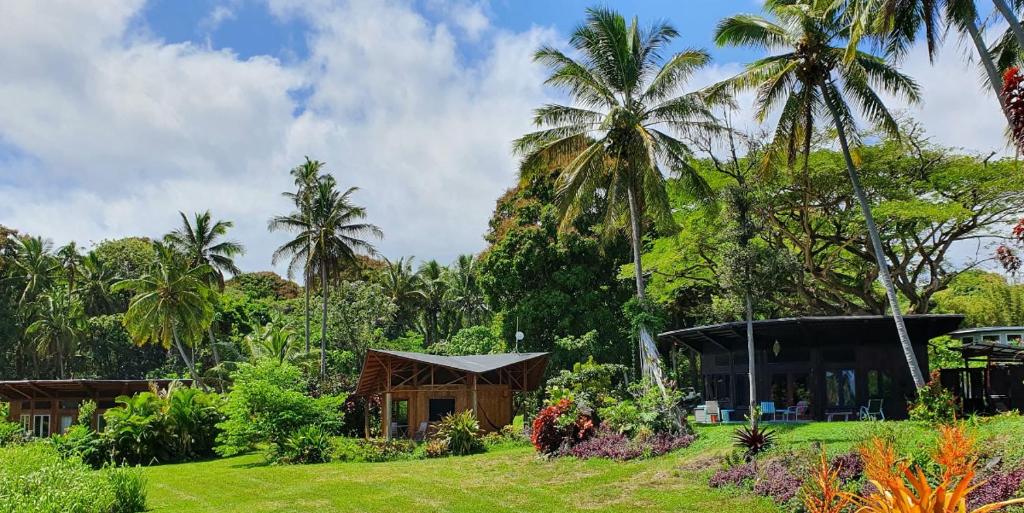 帕霍阿Kalani Oceanside Retreat的一座种植了房屋和棕榈树的花园