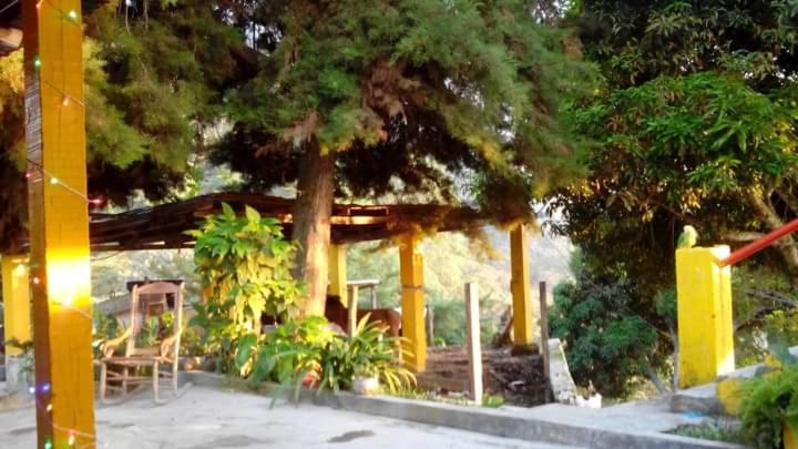 圣玛尔塔Minca Finca hostal La Alicia的凉亭,配有树和桌椅