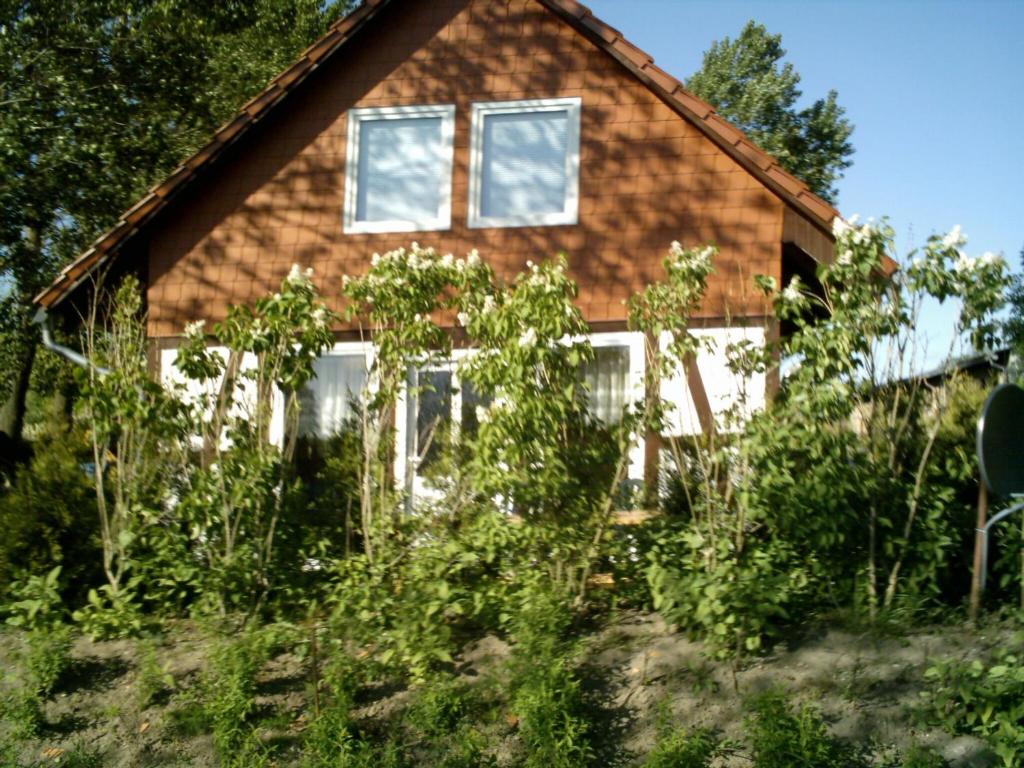 伯尔格伦德-雷特维施Child friendly Bungalow in B rgerende Rethwisch的房屋前方有窗户和杂草