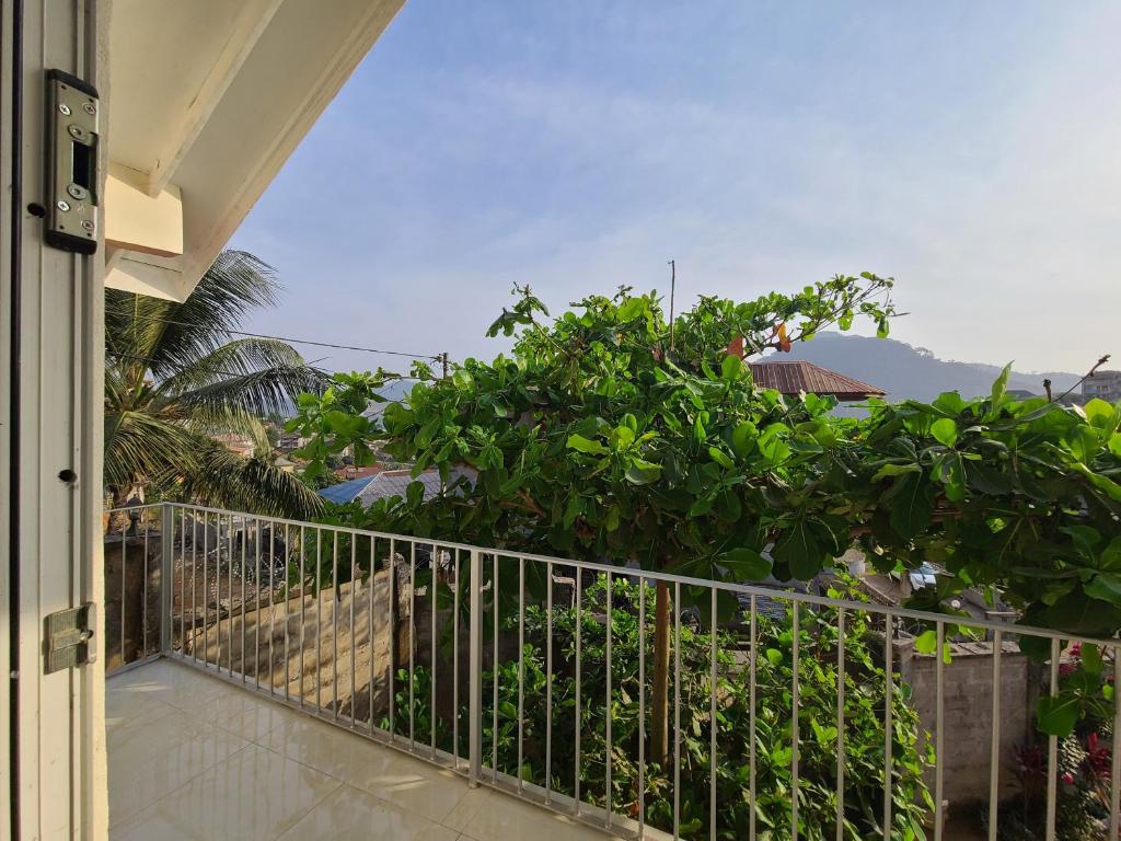 弗里敦Remarkable 3-Bed House in Freetown的阳台享有树木的景致。