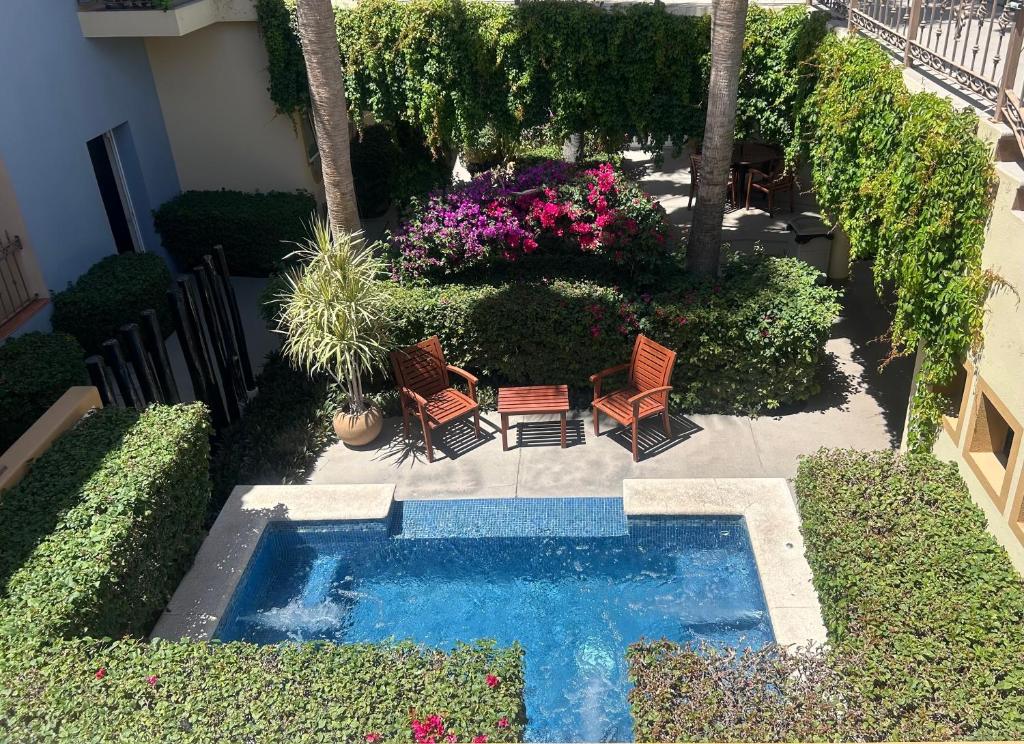 卡波圣卢卡斯圣天使套房酒店的庭院内带椅子和鲜花的小游泳池
