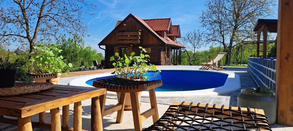 Biškupec ZelinskiRural Holiday House Tinna的一个带游泳池和房子的后院