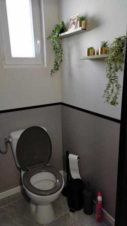 La maison de LYA (lyaroom)的浴室设有卫生间、窗户和植物