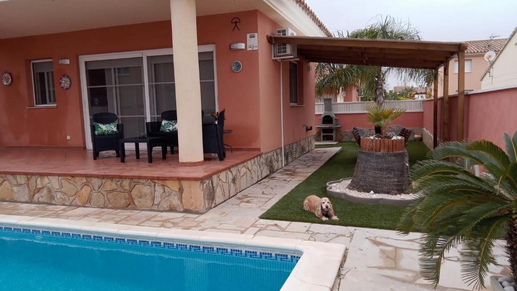 利乌玛Arel的狗躺在带游泳池的房子旁边