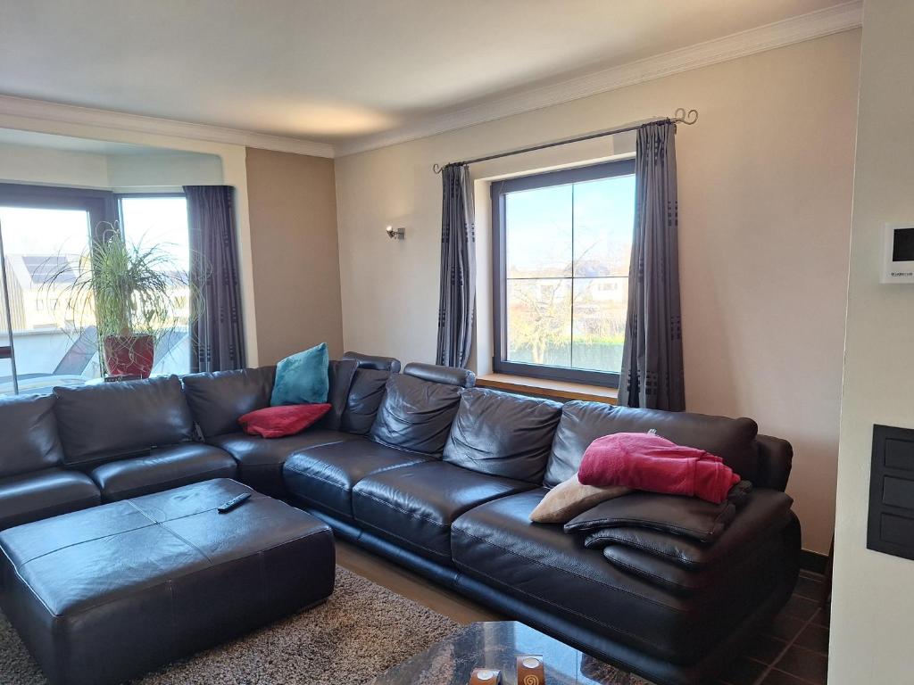 赫林贝亨Kapstertje的客厅配有真皮沙发和窗户