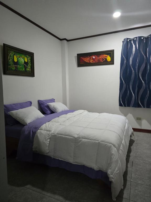 圣何塞Rohrmoser Geromax parque avion的卧室配有一张床,墙上挂有两张照片