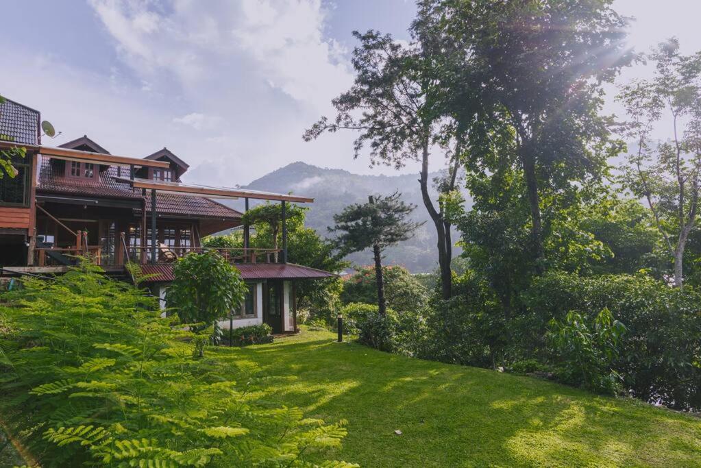 清迈Muangkham Cabin的一座带绿色庭院的山丘上的房子