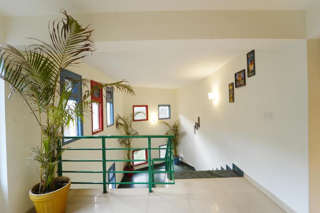 卢迪亚纳Sonam Plaza的走廊上设有楼梯和盆栽植物