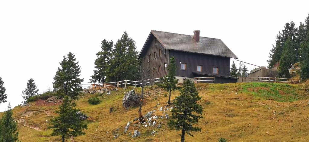 KrivčevoČrnuški dom na Mali planini的树上山顶的房子